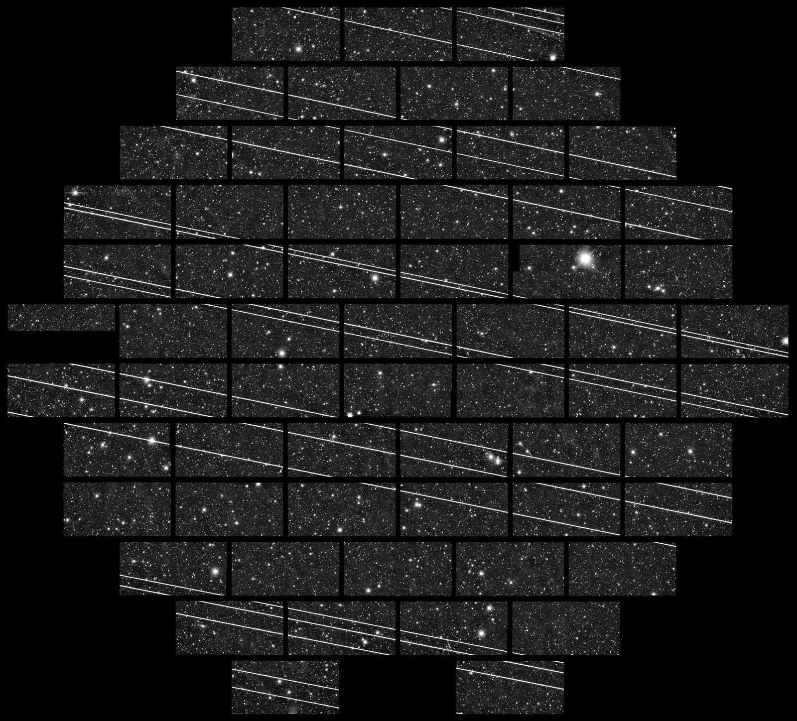 DECam image from the Blanco telescope showing 19 parallel Starlink satellite trails crossing the frame, November 2019