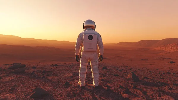 A Year on Mars